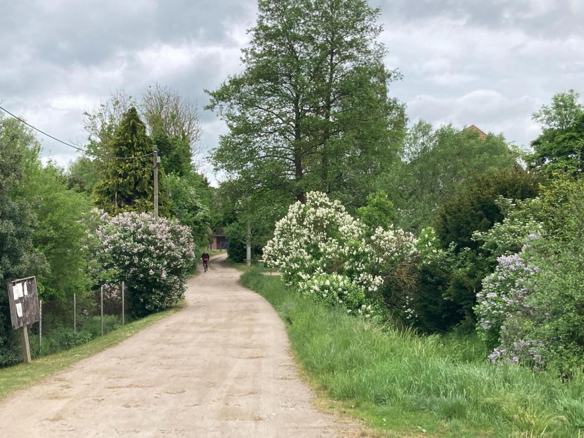 Ferienwohnung Im Gutshaus Alt Krassow Inmitten Der Natur Lalendorf Exterior foto