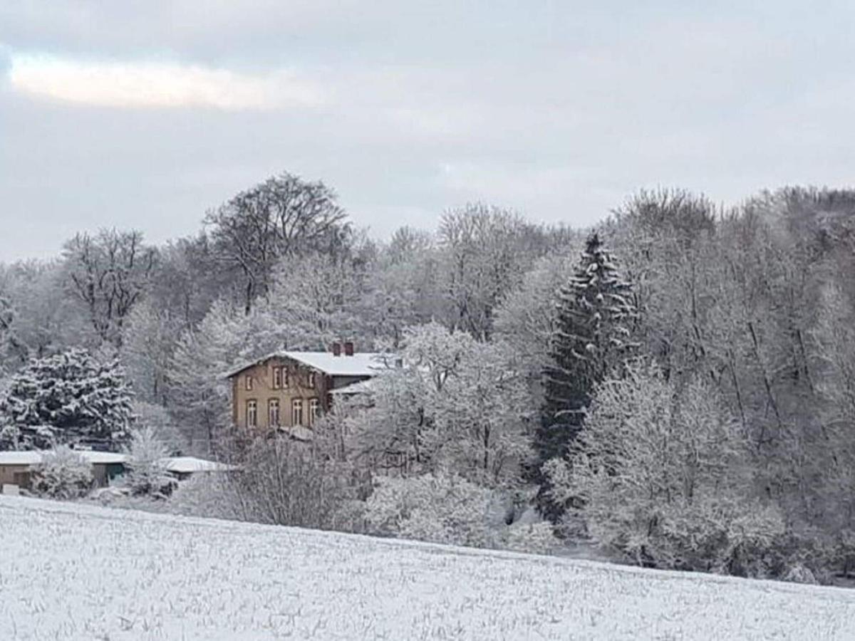 Ferienwohnung Im Gutshaus Alt Krassow Inmitten Der Natur Lalendorf Exterior foto