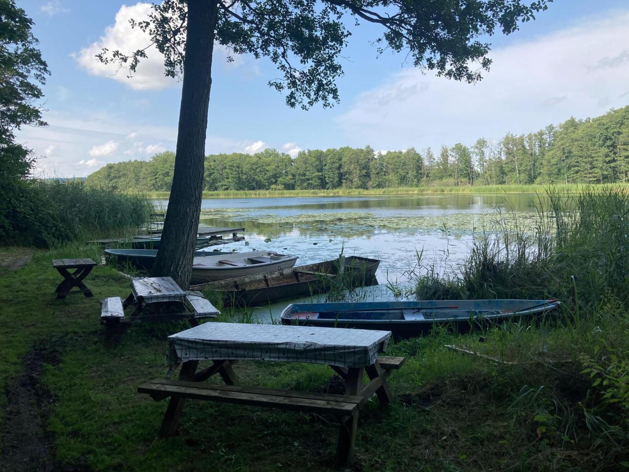 Ferienwohnung Im Gutshaus Alt Krassow Inmitten Der Natur Lalendorf Exterior foto