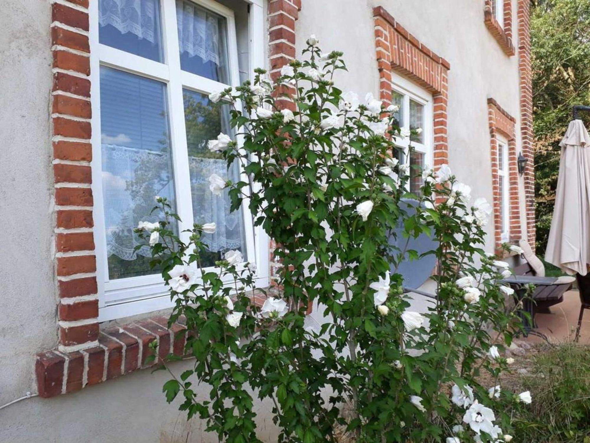 Ferienwohnung Im Gutshaus Alt Krassow Inmitten Der Natur Lalendorf Exterior foto