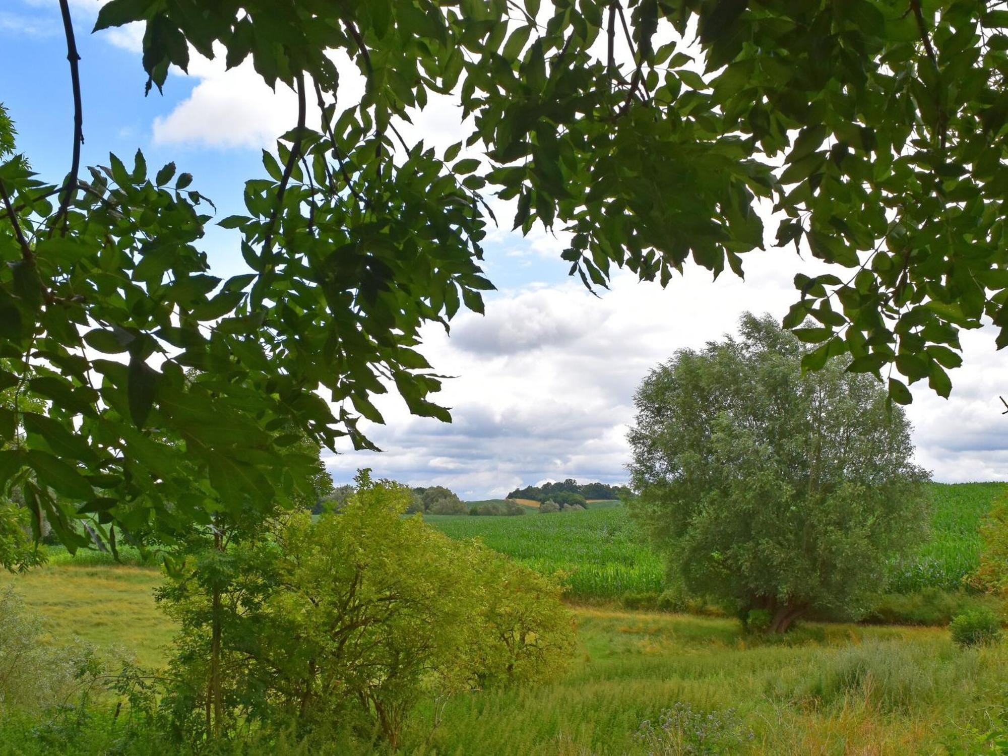 Ferienwohnung Im Gutshaus Alt Krassow Inmitten Der Natur Lalendorf Exterior foto